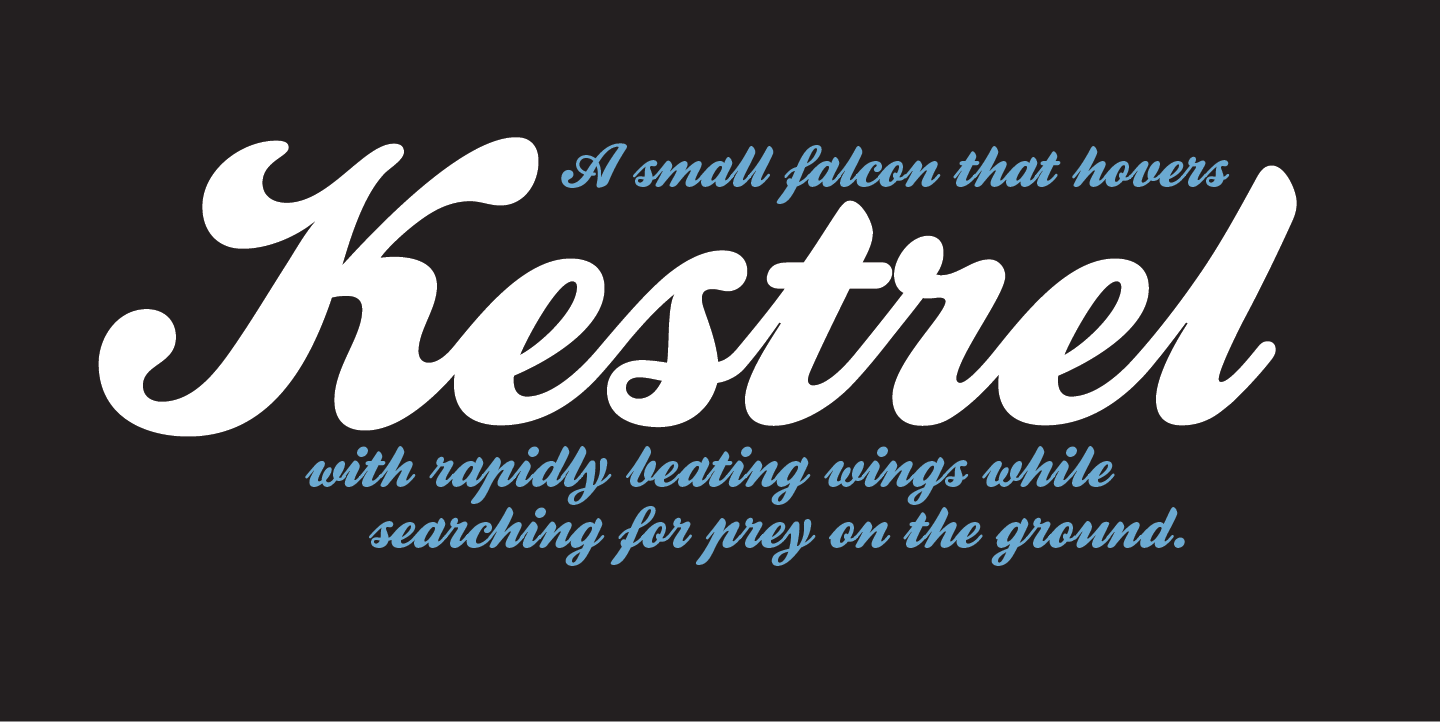 Kestrel Script: A Bold Formal Script Reborn for Modern Design
